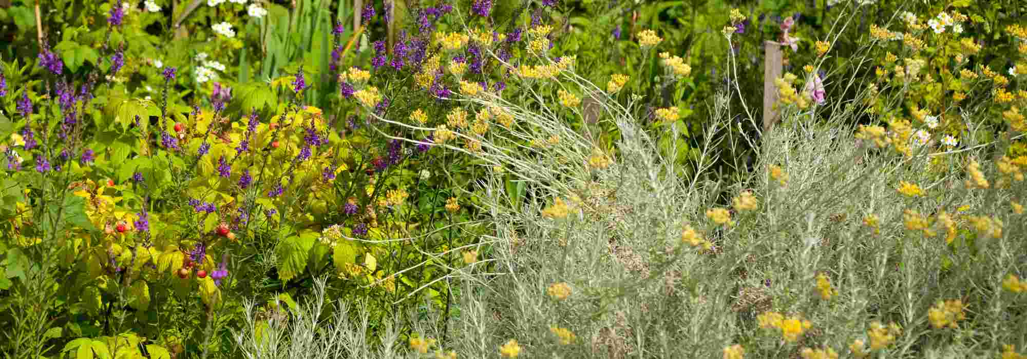 Slow Gardening