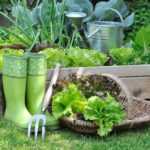 Gemüsegarten und Obstgarten