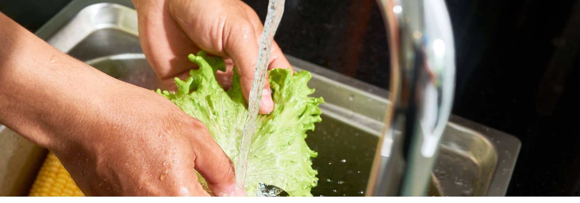 Grauwasser im Garten nutzen?