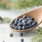 Wacholderbeeren richtig trocknen und lagern?