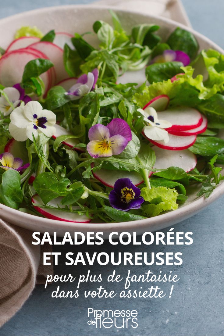bunte Salate und essbare Blüten