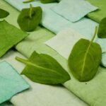 Pflanzenfarben: Wie stellen Sie Naturfarbe aus Gartenpflanzen her?