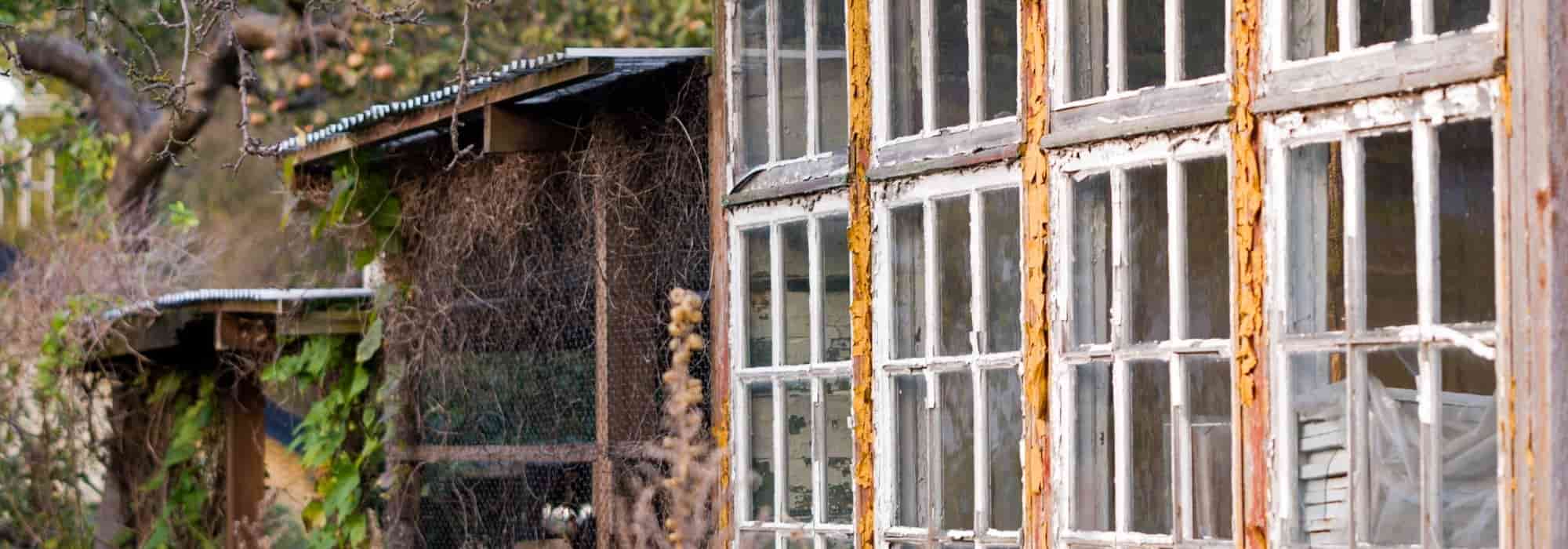 Nachbars Garten verwildert: Was tun?