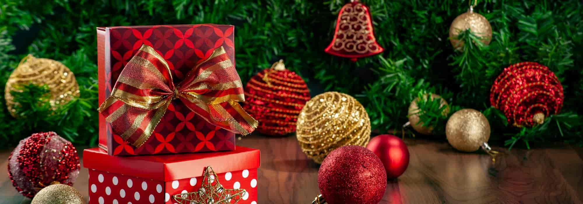 Nachhaltige Weihnachtsgeschenke: Gartenpflanzen