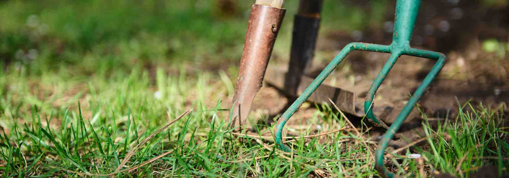 Gartenpflege bei Mietobjekten: Wer ist zuständig?