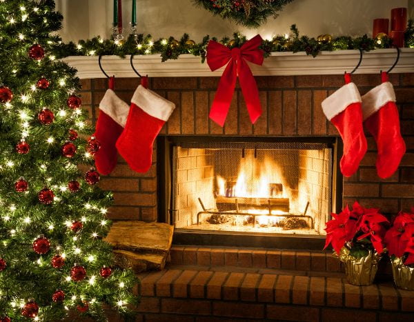 Tanne, Mistel, Stechpalme: Weihnachtssymbole