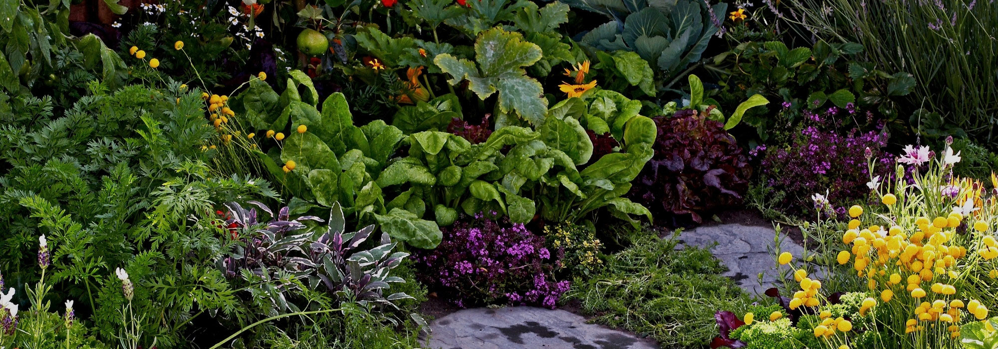 Nutzgarten: schön und produktiv zugleich!