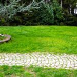 Gartenweg mit Pflastersteinen anlegen?