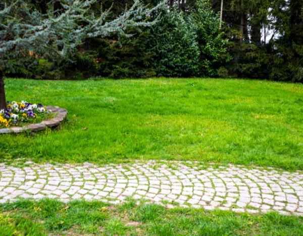 Gartenweg mit Pflastersteinen anlegen?