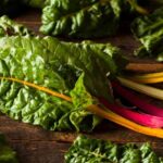 Rezeptideen mit Grünem Mangold