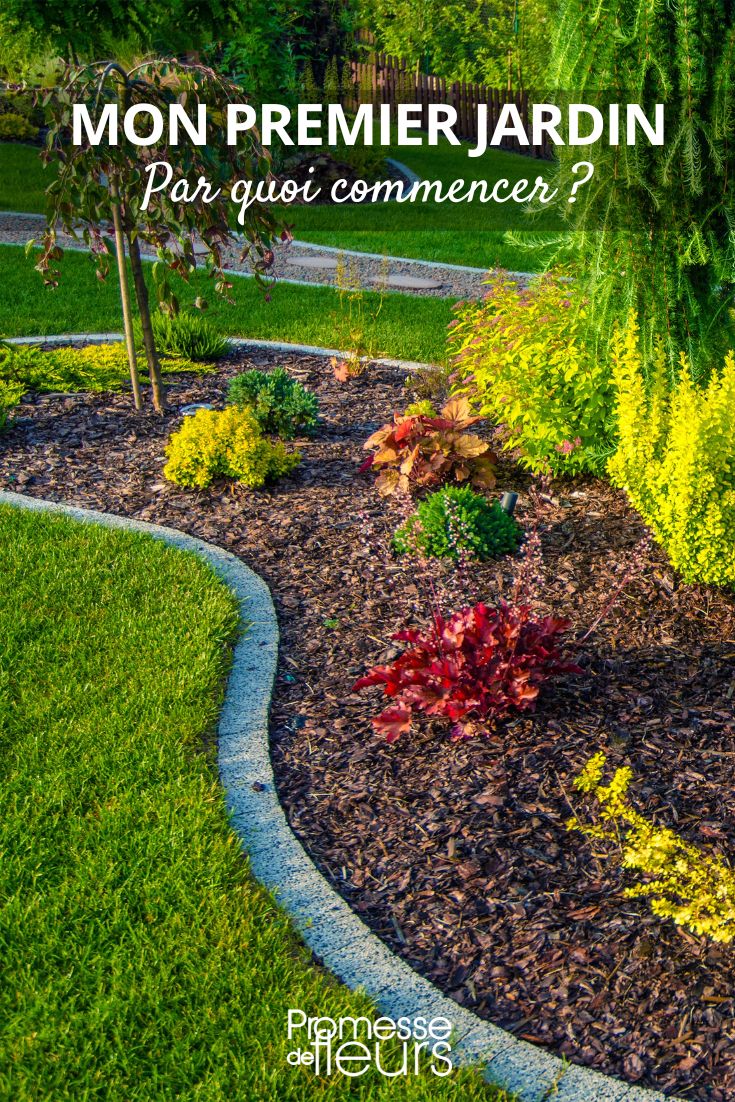 # Wo fängt man mit dem Gärtnern an? Ideen und Tipps für den ersten Garten  

## Die Grundlagen des Gärtnerns für Anfänger  

### 1. Mit einfachen Pflanzen beginnen  
- **Kräuter** wie Basilikum, Minze oder Schnittlauch sind pflegeleicht  
- **Robuste Blumen** wie Tagetes, Sonnenblumen oder Kapuzinerkresse  
- **Einfaches Gemüse** wie Radieschen, Salat oder Zucchini  

### 2. Den richtigen Standort wählen  
- Beobachten Sie die Sonneneinstrahlung in Ihrem Garten/Balkon  
- Die meisten Pflanzen brauchen mindestens 6 Stunden Sonne täglich  
- Schattenliebende Pflanzen für weniger sonnige Bereiche  

### 3. Die richtige Erde verwenden  
- Hochwertige Blumenerde für Kübel und Töpfe  
- Den Gartenboden bei Bedarf mit Kompost verbessern  
- Drainage ist wichtig – Staunässe vermeiden  

### 4. Grundausstattung besorgen  
- Gießkanne oder Gartenschlauch  
- Handschaufel und -harke  
- Gute Gartenschere  
- Arbeitshandschuhe  

### 5. Regelmäßige Pflege  
- Gleichmäßig gießen (morgens oder abends)  
- Verwelktes entfernen (ausputzen)  
- Organisch düngen (z.B. mit Komposttee)  

## Häufige Anfängerfehler vermeiden  
- Zu viel oder zu wenig gießen  
- Pflanzen zu eng setzen  
- Unkraut zu lange wachsen lassen  
- Falscher Standort für die Pflanzenwahl  

**Tipp:** Fangen Sie klein an! Ein paar Töpfe oder ein kleines Beet reichen für den Einstieg. Mit der Zeit wächst Ihr grüner Daumen von selbst.  

Möchten Sie lieber Zierpflanzen, Gemüse oder Kräuter anbauen? Wählen Sie Pflanzen, die Ihnen Freude bereiten – dann macht das Gärtnern gleich doppelt Spaß!