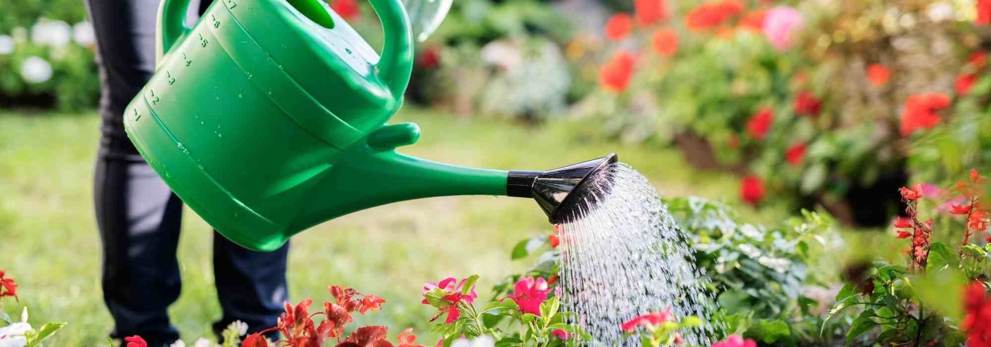 Wie oft den Garten im Sommer gießen?