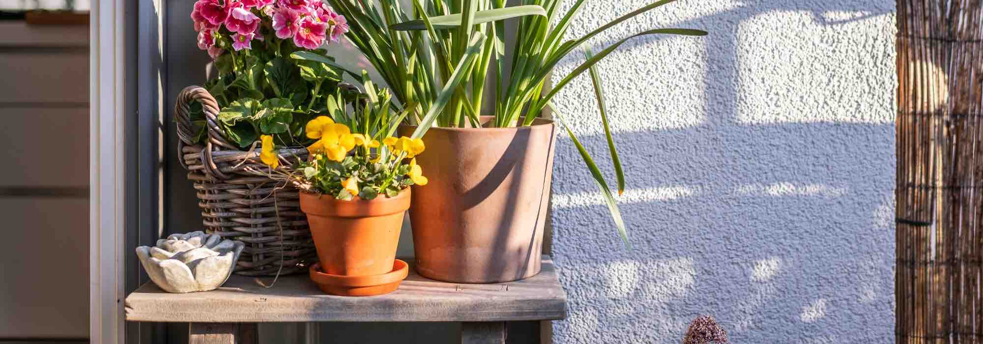 Tipps zur Gestaltung eines Westbalkons