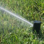 Rasenpflege im Sommer?