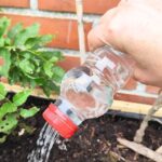 Zero Waste: Gießkanne aus Plastikflasche selber machen?