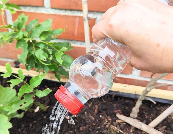 Zero Waste: Gießkanne aus Plastikflasche selber machen?
