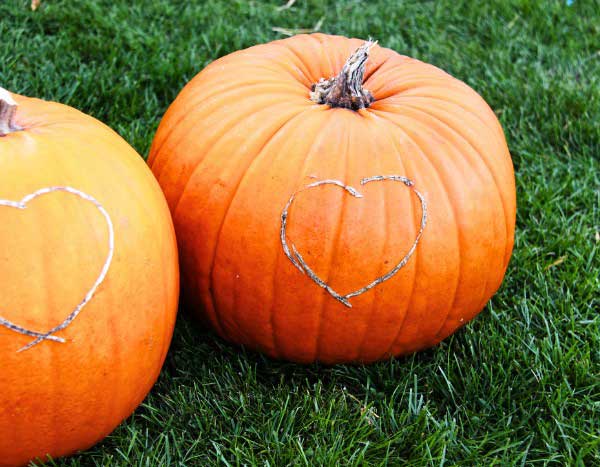 Kürbis gravieren und gestalten?