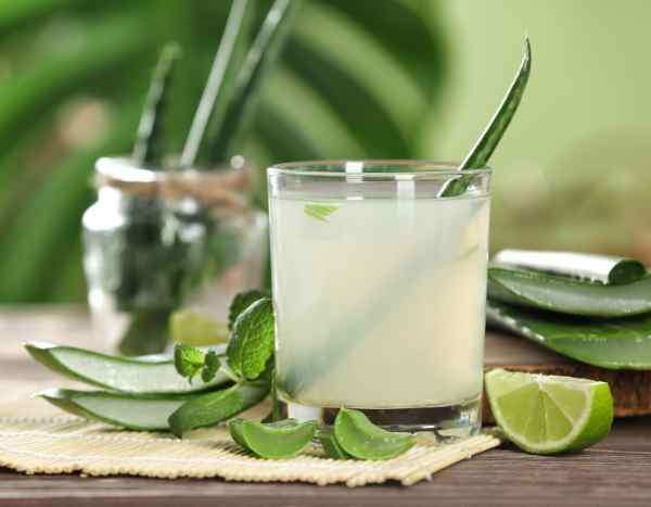 Echte Aloe ernten und nutzen: Schönheit, Küche