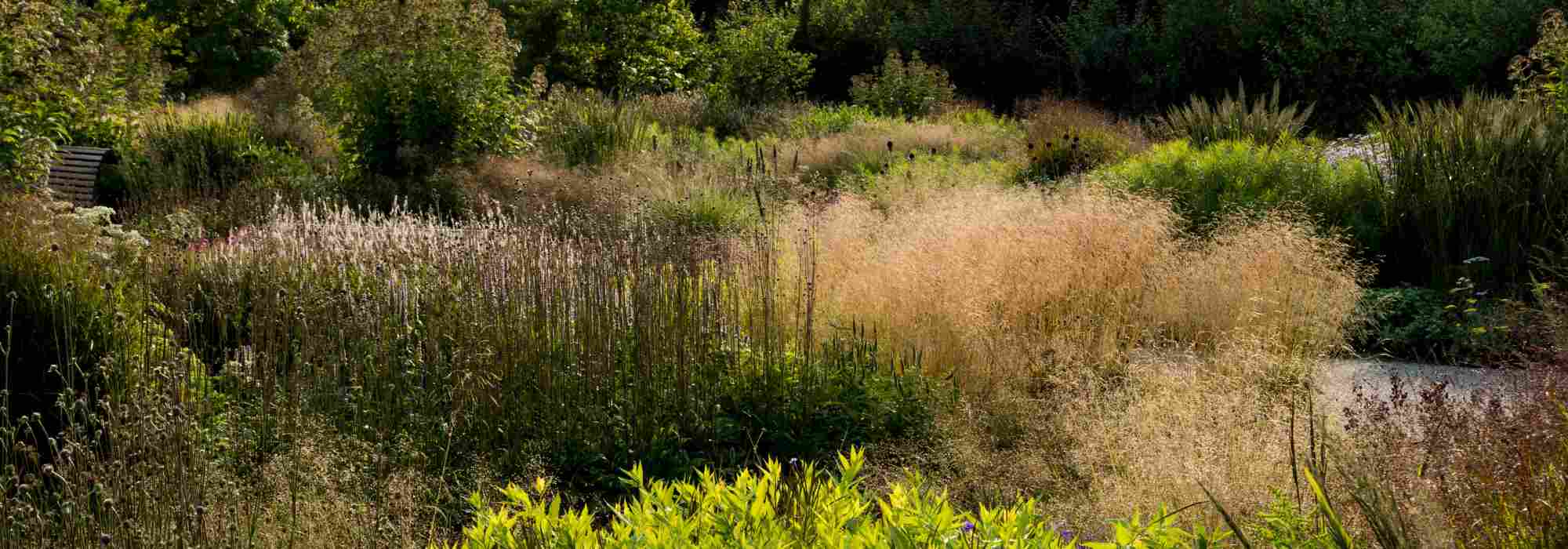 Naturgarten anlegen?