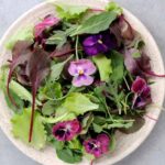 Essbare Blüten: Veilchen in der Küche!