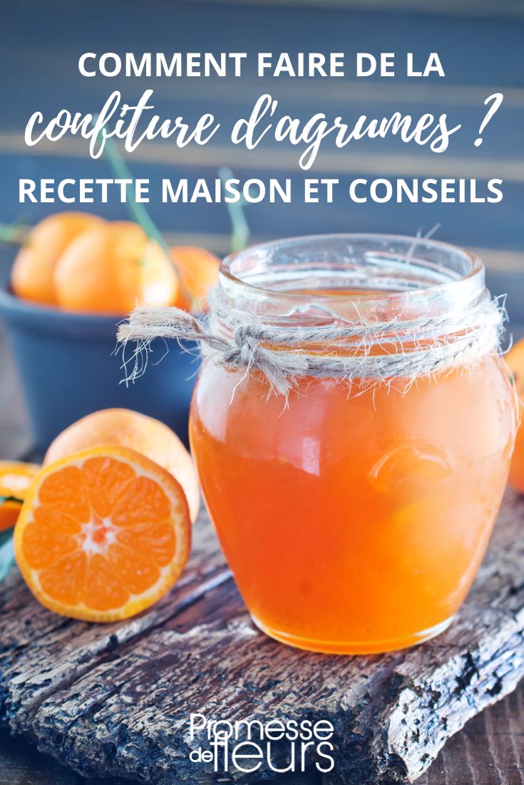 Selbstgemachte Marmelade