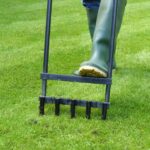 Rasen lüften: Schritt für Schritt zum gesunden Rasen