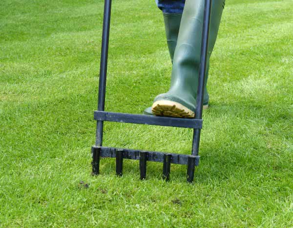 Rasen lüften: Schritt für Schritt zum gesunden Rasen