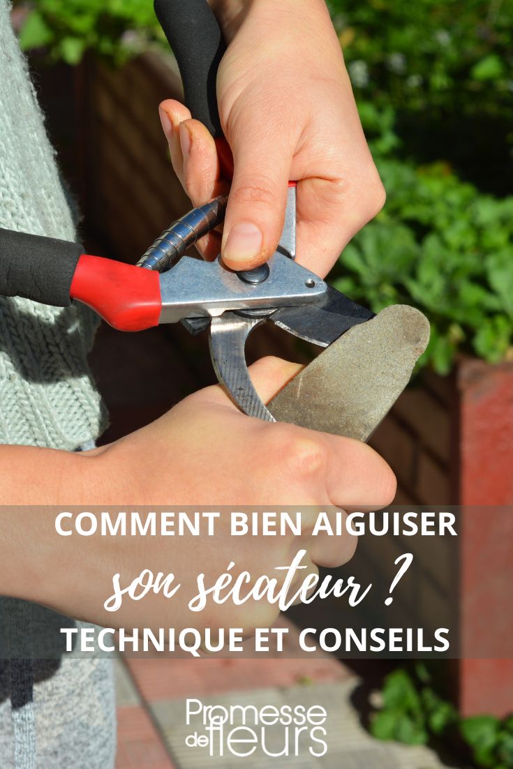 lernen, eine Gartenschere zu reinigen und zu schärfen