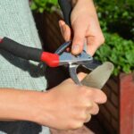 Gartenschere richtig schärfen?