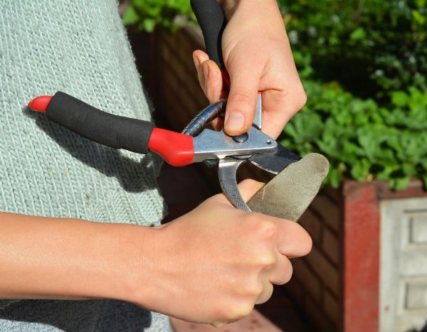 Gartenschere richtig schärfen?