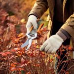 Garten für Anfänger: Wann und wie Stauden in 4 Schritten schneiden