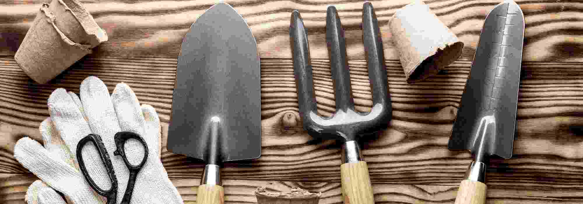 Garten für Anfänger: die richtigen Werkzeuge wählen?