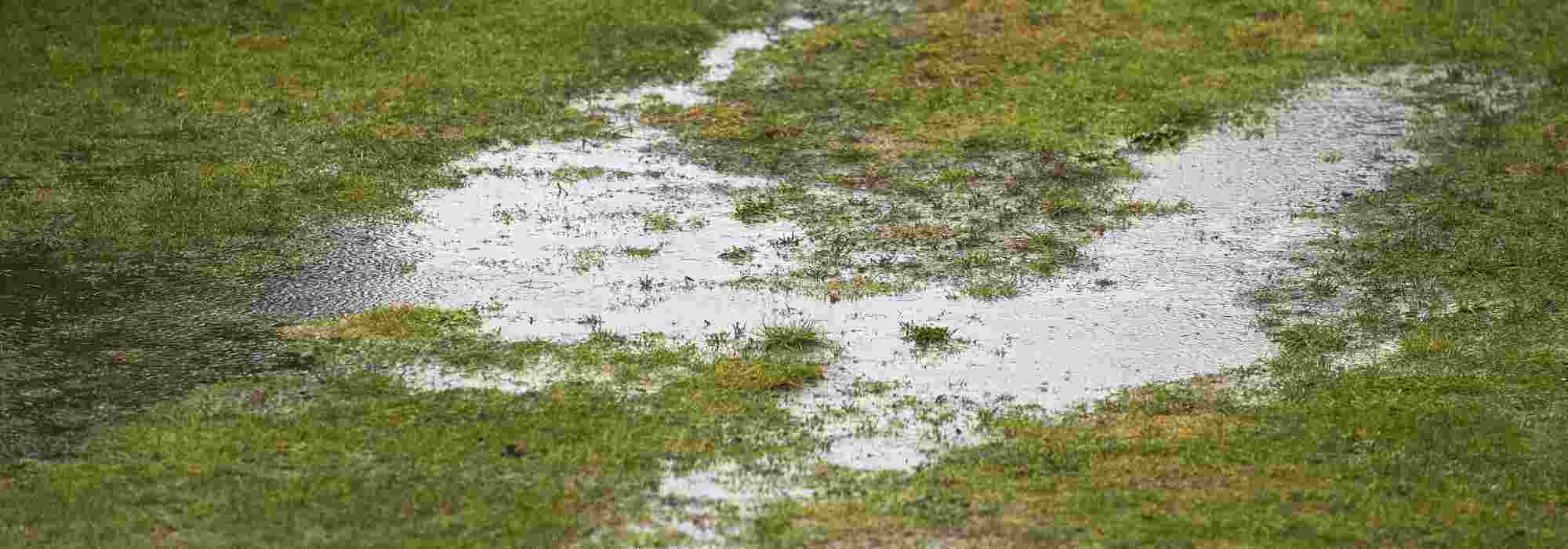 Drainage im Gartenboden: alles Wichtige