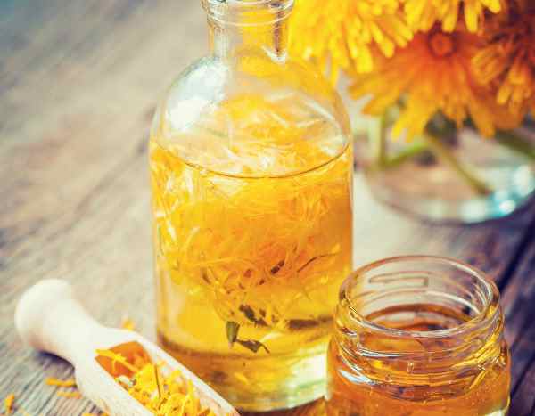 Kuhblumenöl selber machen: Anleitung