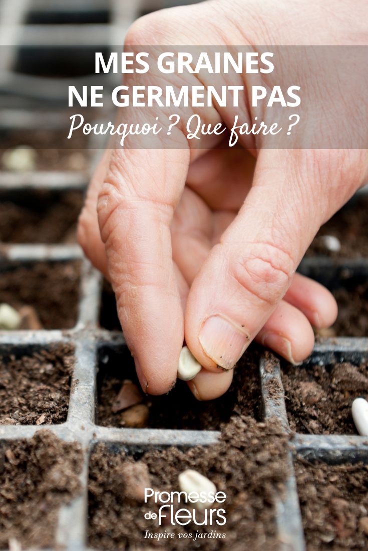 gescheiterte Aussaat