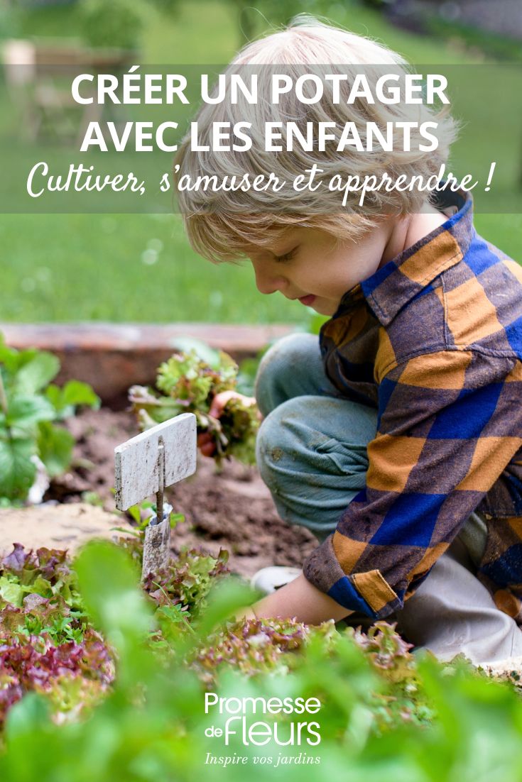 Einen Gemüsegarten mit Kindern anlegen