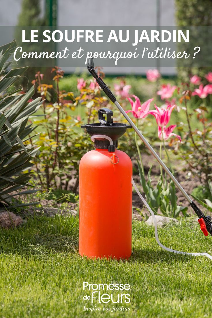 Einsatz von Schwefel im Garten