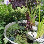 Kleinen Gartenteich anlegen?