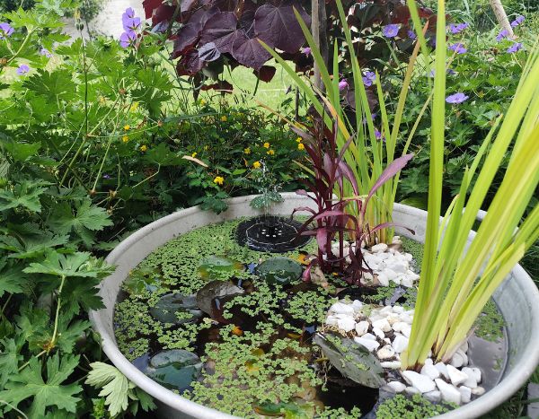 Kleinen Gartenteich anlegen?
