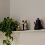 Zimmerpflanzen für die Küche: ideale Sorten!