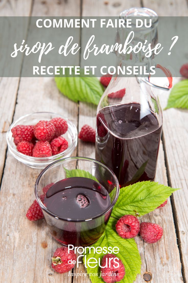 Himbeersirup, Glas und frische Himbeeren