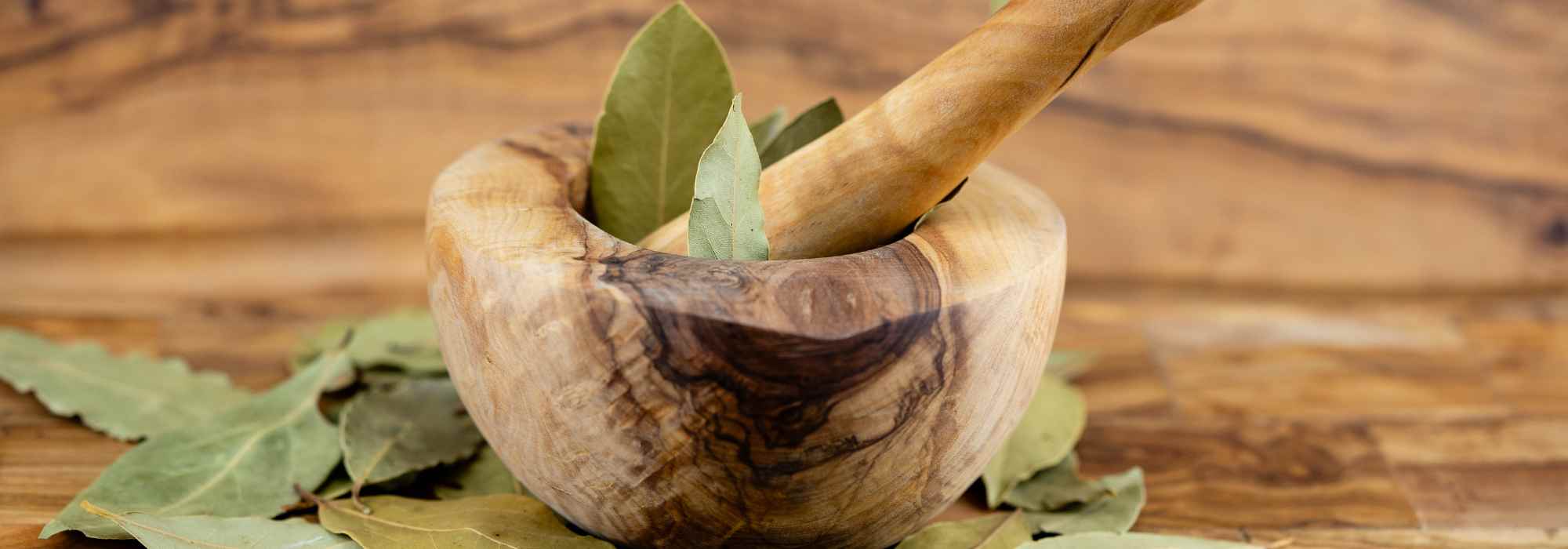 Lorbeer und Gesundheit: Anbau und Wirkung