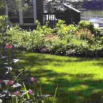 Beet im windigen Garten anlegen