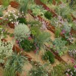 Sandgarten: mutige, zeitgemäße Gestaltungsidee
