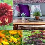 Boho-Patio-Trend: Terrasse im Boho-Stil gestalten!
