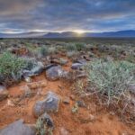 Garten der Antipoden: neuer Trend Trockengärten