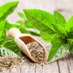 Basilikum trocknen und Aroma bewahren?