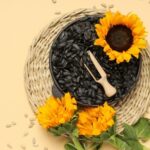 Sonnenblumen-Samen ernten und lagern?