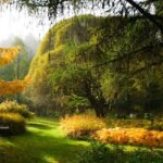 Bestehendes Beet im Herbst vergrößern?