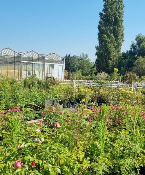 Hunderte von Sorten im Angebot!